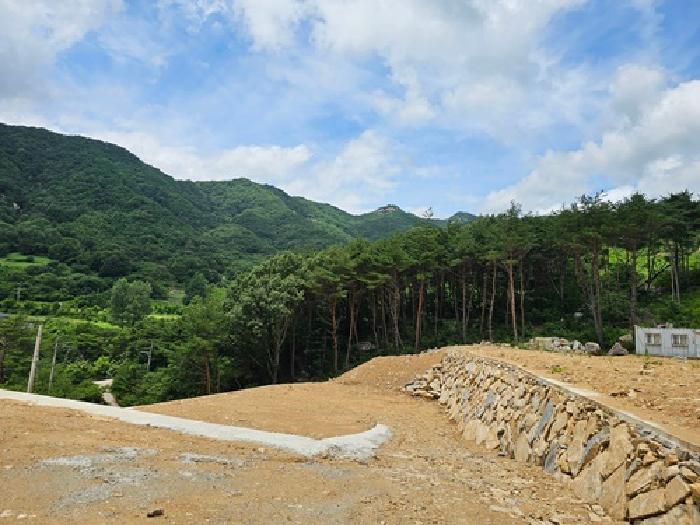 경상남도 산청군 신안면 외송리 산15-33 외 2필지 임야 경매 사진 1