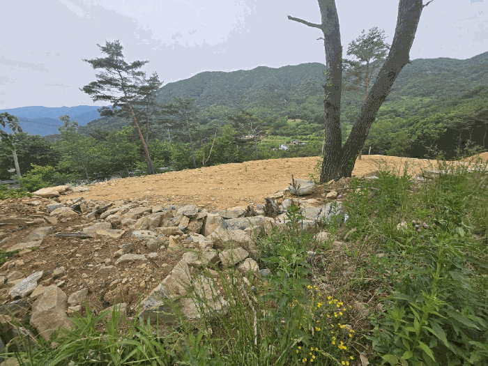 경상남도 산청군 신안면 외송리 산15-33 외 2필지 임야 경매 사진 11