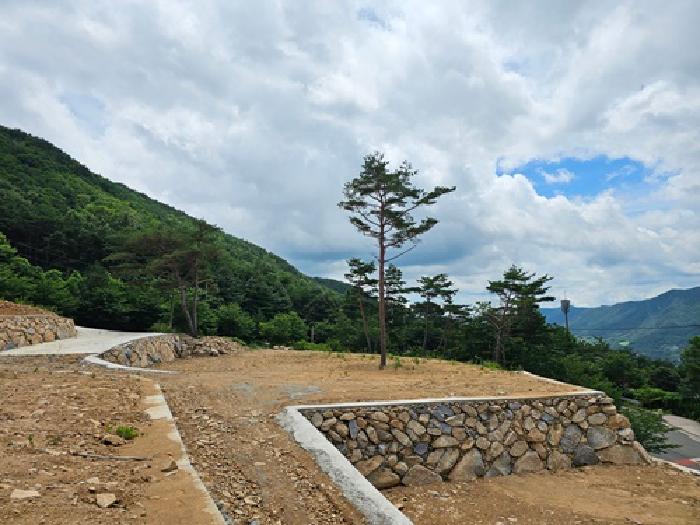 경상남도 산청군 신안면 외송리 산15-33 외 2필지 임야 경매 사진 6
