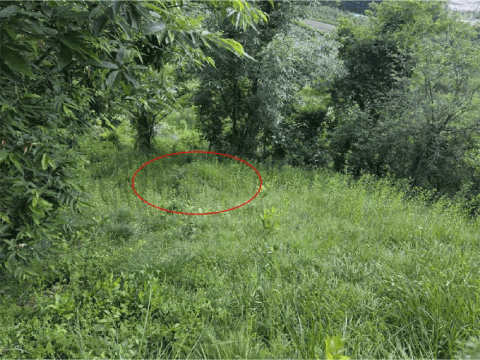 경상남도 거창군 웅양면 산포리 1497-1 전 경매 사진 12
