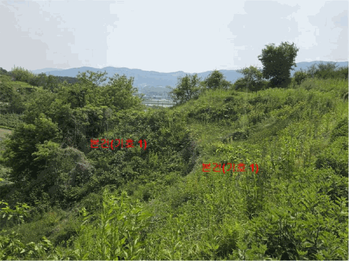 경상남도 거창군 웅양면 산포리 1497-1 전 경매 사진 13