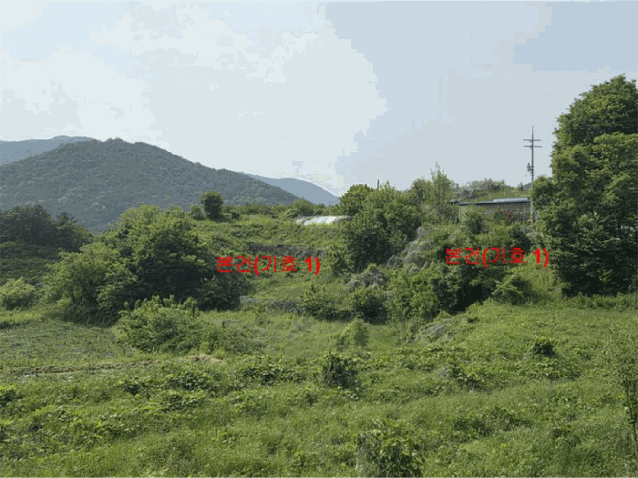 경상남도 거창군 웅양면 산포리 1497-1 전 경매 사진 14