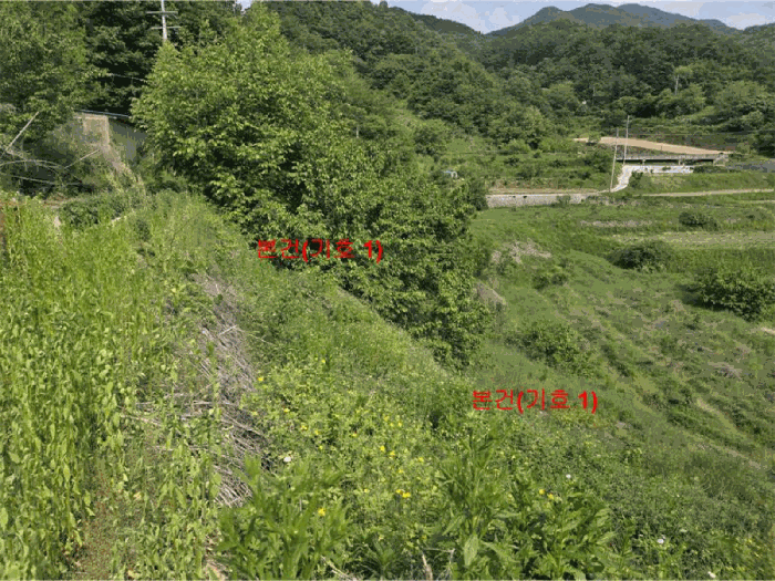 경상남도 거창군 웅양면 산포리 1497-1 전 경매 사진 15