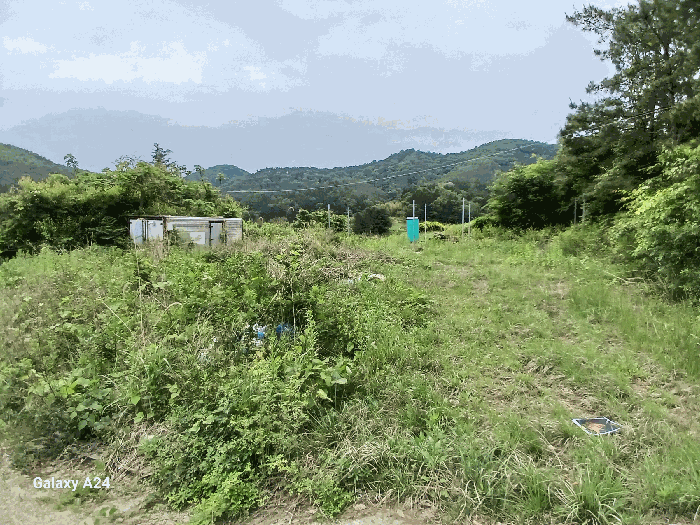 전라남도 담양군 가사문학면 만월리 산39-4 외 7필지 임야 경매 사진 19