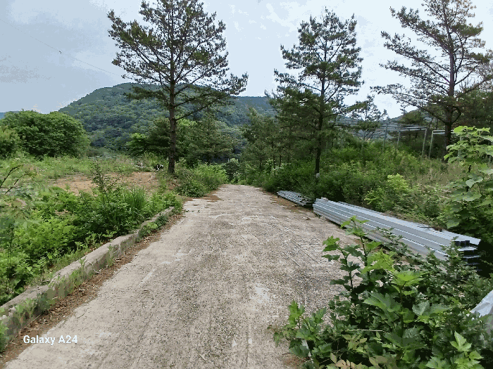 전라남도 담양군 가사문학면 만월리 산39-4 외 7필지 임야 경매 사진 20