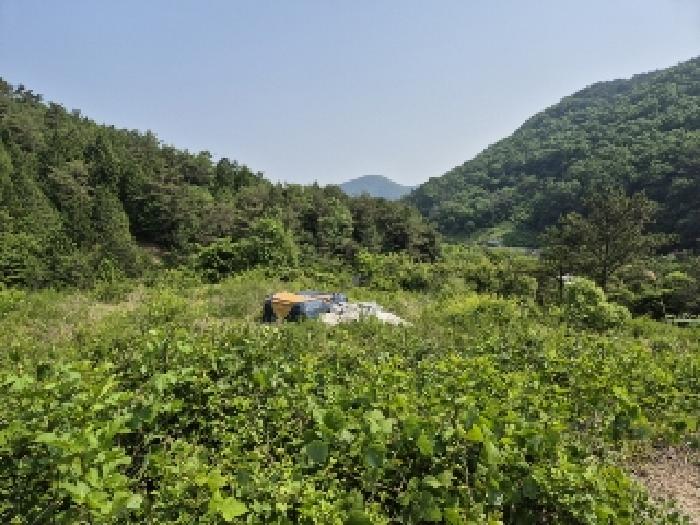 전라남도 담양군 가사문학면 만월리 산39-4 외 7필지 임야 경매 사진 3