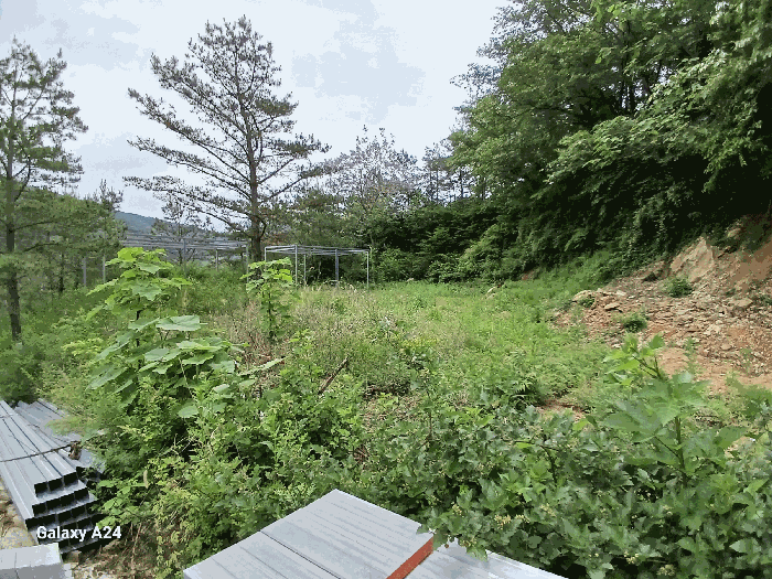 전라남도 담양군 가사문학면 만월리 산39-4 외 7필지 임야 경매 사진 27