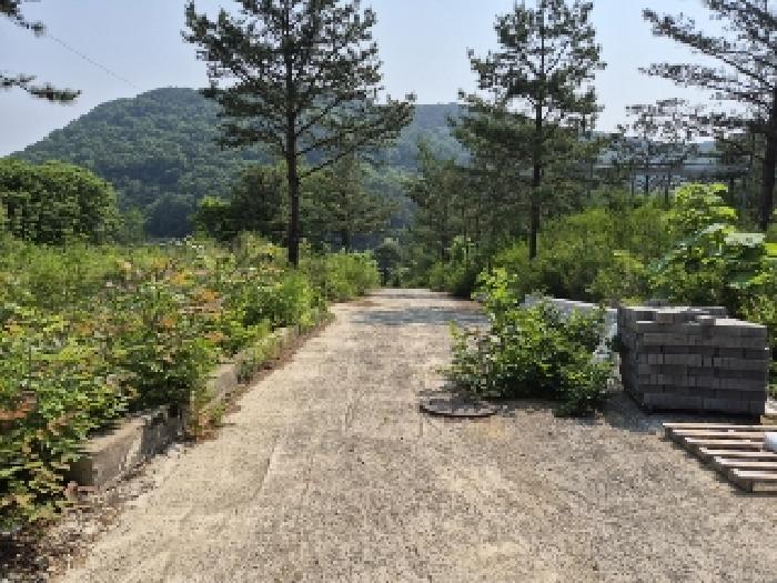 전라남도 담양군 가사문학면 만월리 산39-4 외 7필지 임야 경매 사진 4