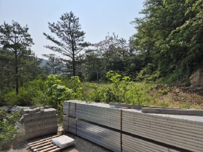 전라남도 담양군 가사문학면 만월리 산39-4 외 7필지 임야 경매 사진 7