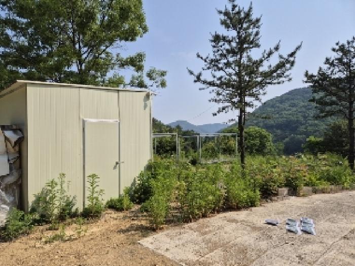 전라남도 담양군 가사문학면 만월리 산39-4 외 7필지 임야 경매 사진 8