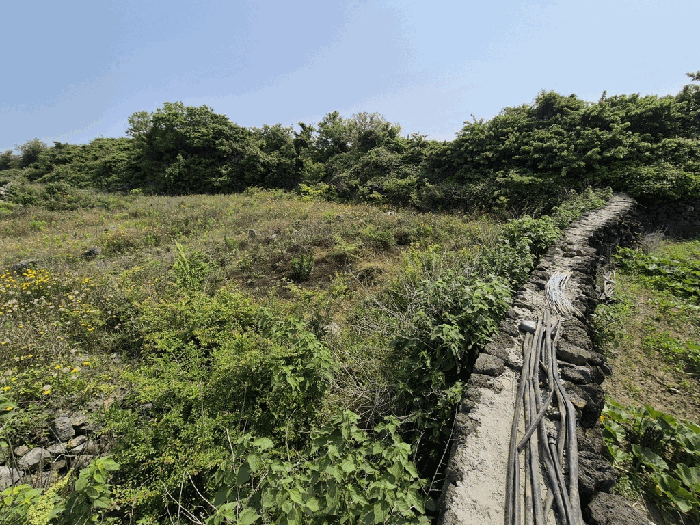 제주특별자치도 제주시 한경면 용수리 825-3 전 경매 사진 12