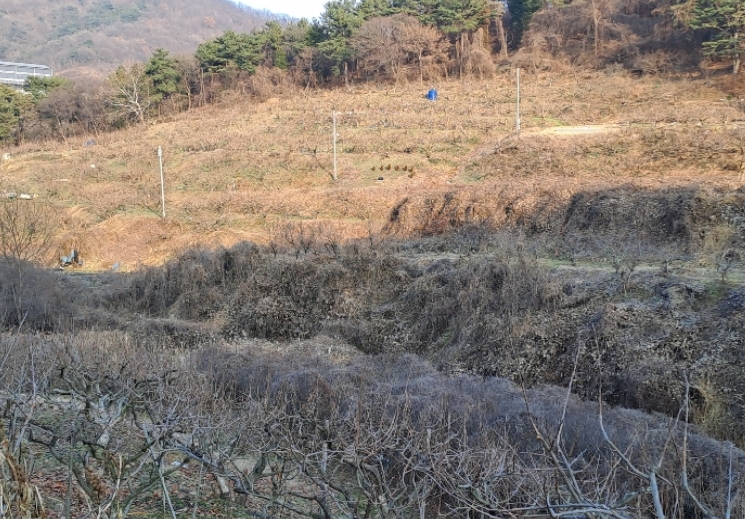 경남 김해시 진영읍 하계리 637 답 경매 사진 1