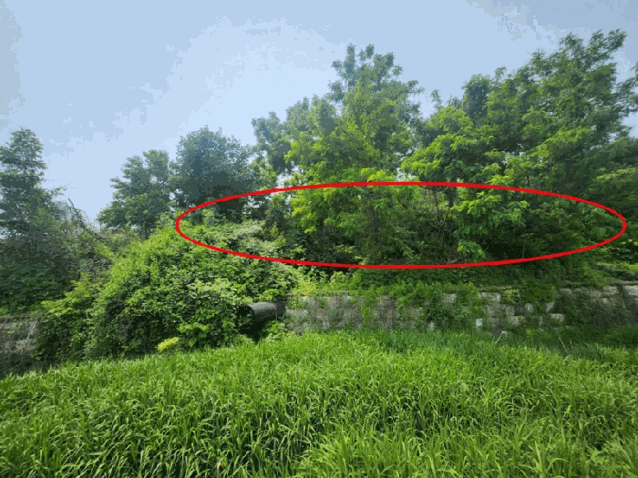 충청북도 진천군 광혜원면 죽현리 620 전 경매 사진 3