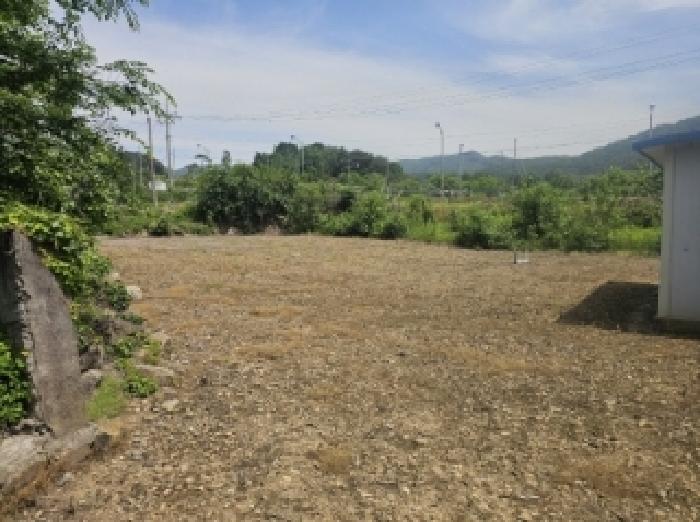 충청북도 단양군 적성면 하리 398 전 경매 사진 30