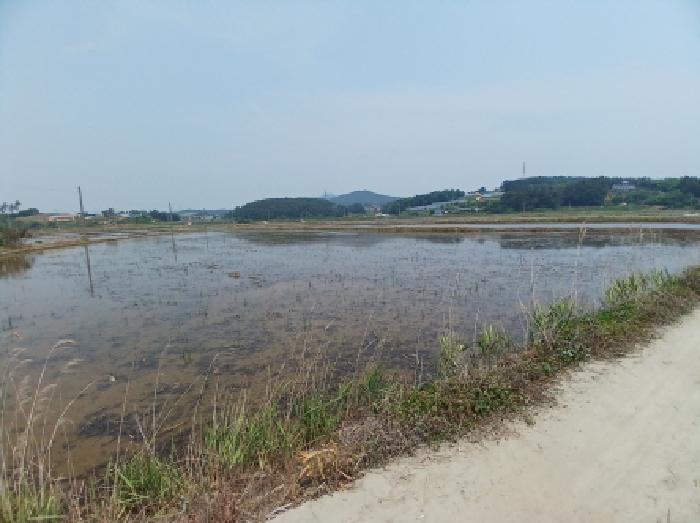 충청남도 서산시 지곡면 환성리 694-45 외 1필지 답 경매 사진 1