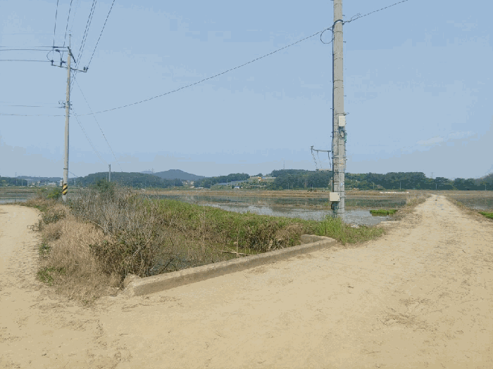 충청남도 서산시 지곡면 환성리 694-45 외 1필지 답 경매 사진 11
