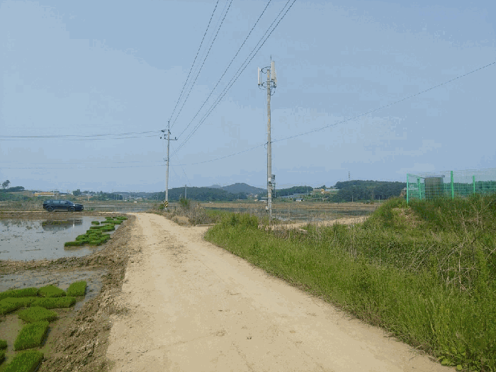 충청남도 서산시 지곡면 환성리 694-45 외 1필지 답 경매 사진 12