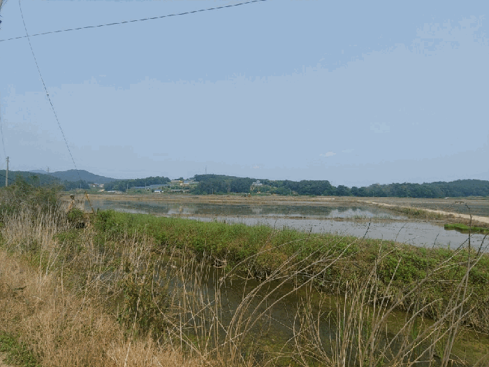 충청남도 서산시 지곡면 환성리 694-45 외 1필지 답 경매 사진 9