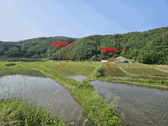 경상북도 경주시 양남면 석촌리 510 외 1필지 답 경매 사진 2