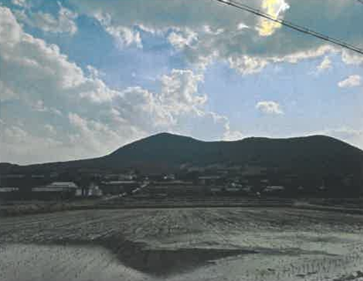 울산광역시 울주군 두서면 미호리 815 외 7필지 동물및식물관련시설 경매 사진 3