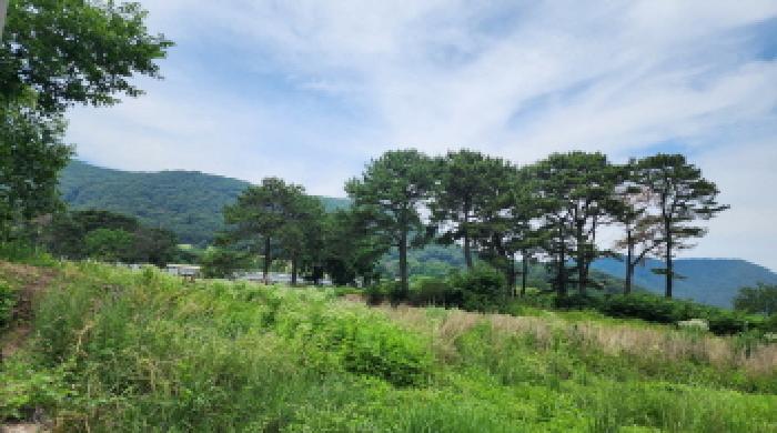 울산광역시 울주군 두서면 미호리 815 외 7필지 동물및식물관련시설 경매 사진 50