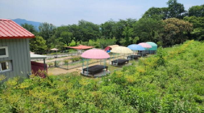 울산광역시 울주군 두서면 미호리 815 외 7필지 동물및식물관련시설 경매 사진 62
