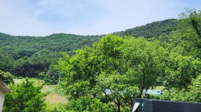 울산광역시 울주군 두서면 미호리 815 외 7필지 동물및식물관련시설 경매 사진 73