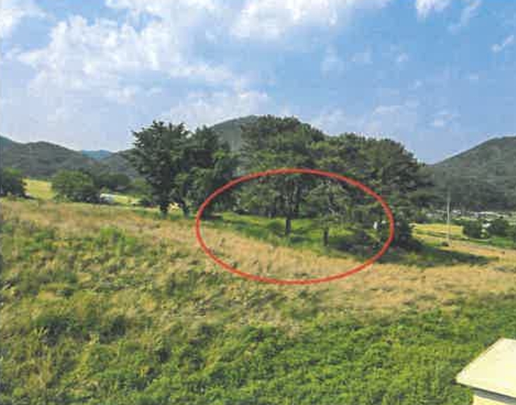 울산광역시 울주군 두서면 미호리 815 외 7필지 동물및식물관련시설 경매 사진 10