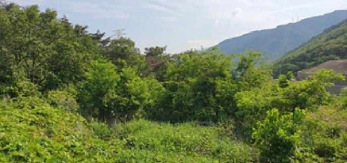 경상남도 김해시 상동면 여차리 1037-3 임야 경매 사진 12