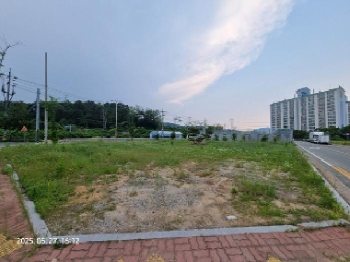 경상남도 창원시 의창구 동읍 신방리 921-8 외 1필지 대지 경매 사진 4