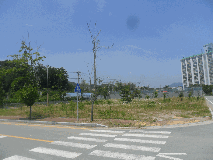경상남도 창원시 의창구 동읍 신방리 921-8 외 1필지 대지 경매 사진 5