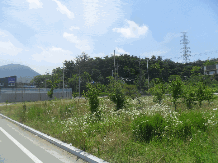경상남도 창원시 의창구 동읍 신방리 921-8 외 1필지 대지 경매 사진 6
