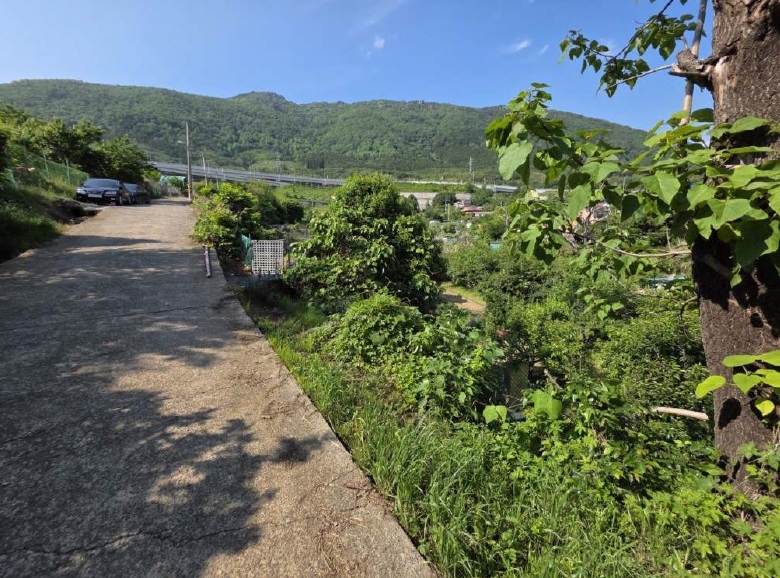 경상남도 창원시 진해구 경화동 1371-1 답 경매 사진 8