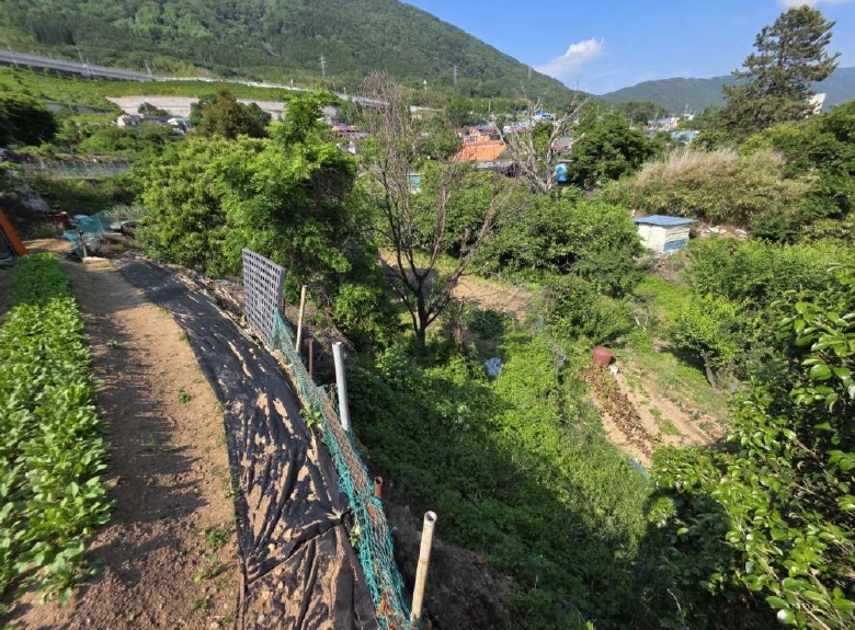 경상남도 창원시 진해구 경화동 1371-1 답 경매 사진 9