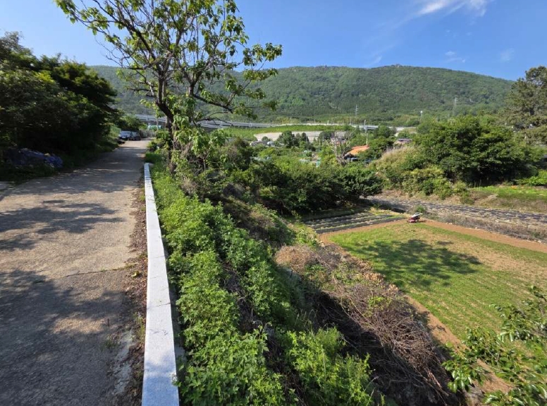경상남도 창원시 진해구 경화동 1371-1 답 경매 사진 10