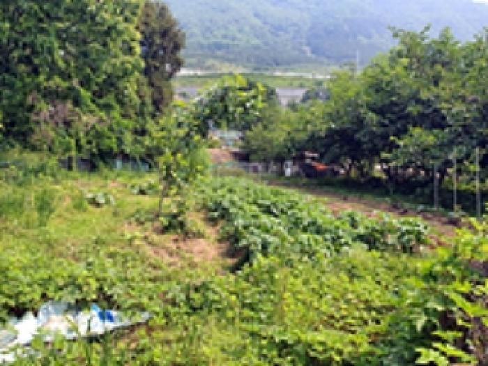 경상남도 창원시 진해구 경화동 1371-1 답 경매 사진 11