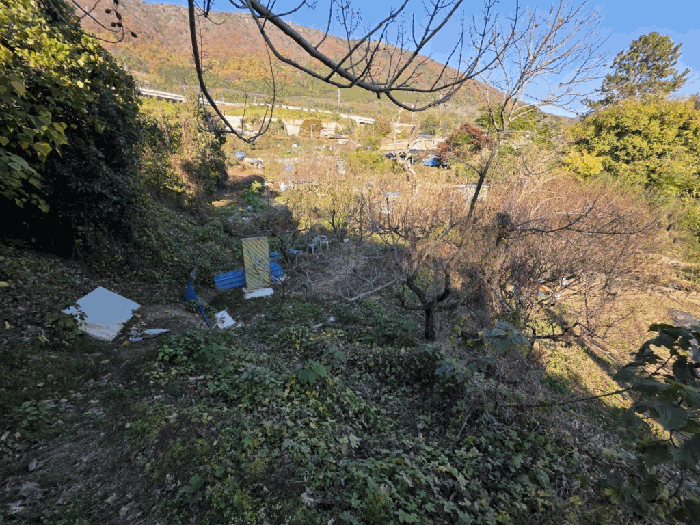 경상남도 창원시 진해구 경화동 1371-1 답 경매 사진 14