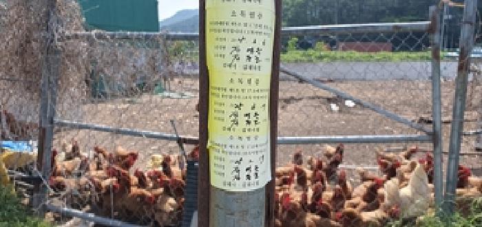 경상남도 김해시 상동면 대감리 977-6 외 2필지 답 경매 사진 12