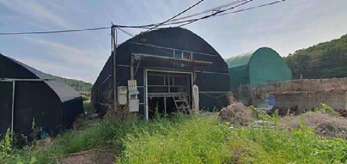 경상남도 김해시 상동면 대감리 977-6 외 2필지 답 경매 사진 13