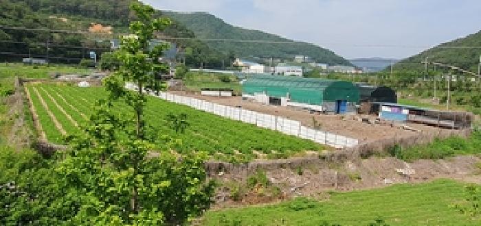 경상남도 김해시 상동면 대감리 977-6 외 2필지 답 경매 사진 20