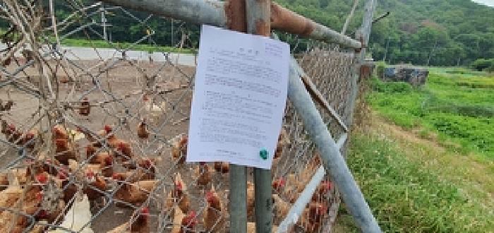 경상남도 김해시 상동면 대감리 977-6 외 2필지 답 경매 사진 22