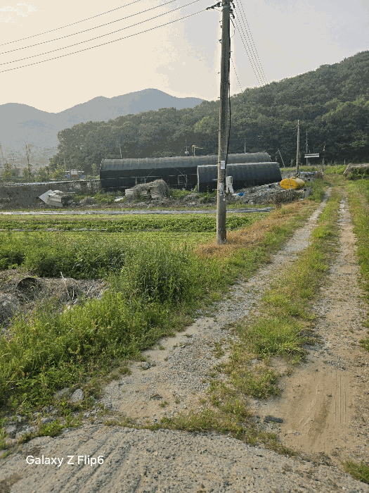 경상남도 김해시 상동면 대감리 977-6 외 2필지 답 경매 사진 25