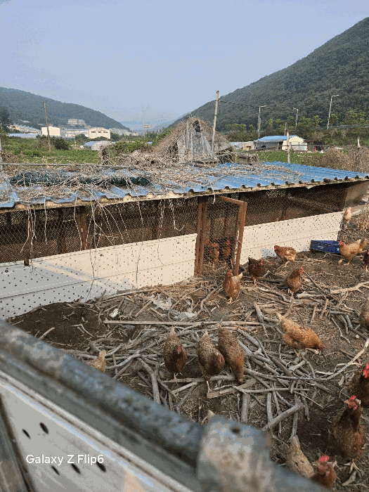 경상남도 김해시 상동면 대감리 977-6 외 2필지 답 경매 사진 27
