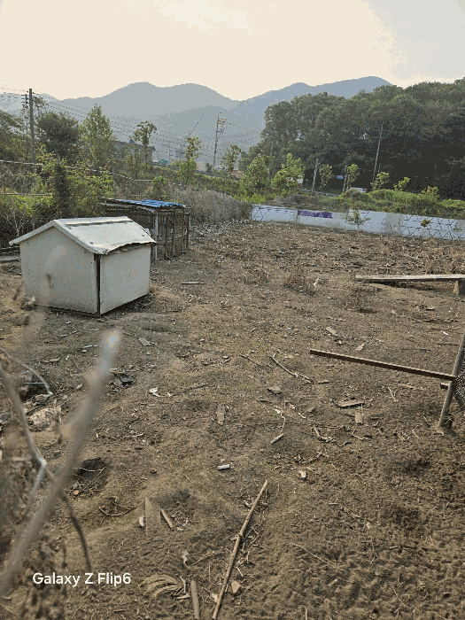 경상남도 김해시 상동면 대감리 977-6 외 2필지 답 경매 사진 33