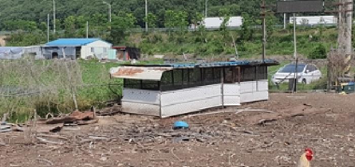 경상남도 김해시 상동면 대감리 977-6 외 2필지 답 경매 사진 8
