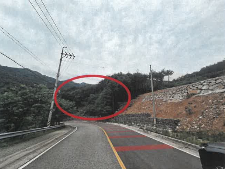 경상남도 산청군 신안면 외송리 산15-31 임야 경매 사진 9