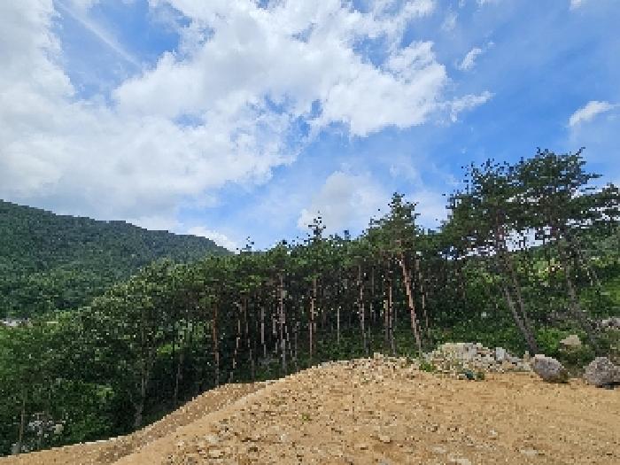 경상남도 산청군 신안면 외송리 산15-31 임야 경매 사진 12