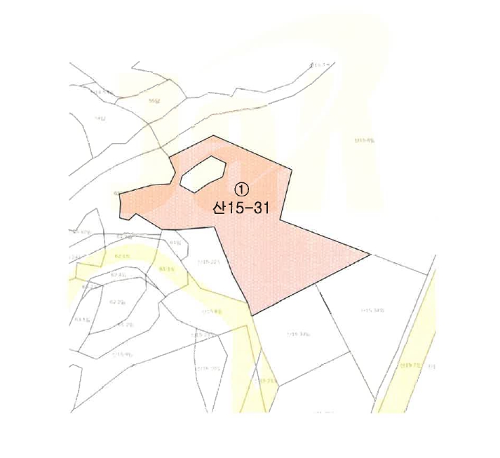 경상남도 산청군 신안면 외송리 산15-31 임야 경매 사진 16