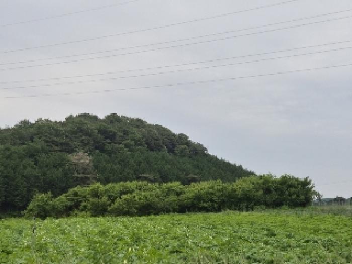 전라남도 장성군 삼계면 화산리 209 외 1필지 전 경매 사진 3
