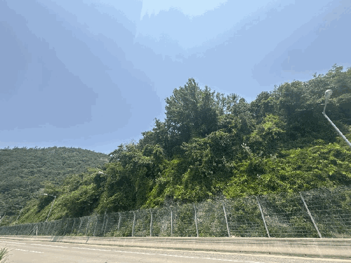 전라남도 영암군 학산면 독천리 산77 임야 경매 사진 7